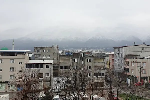Ulu Kubbeli Cami - Resim 10