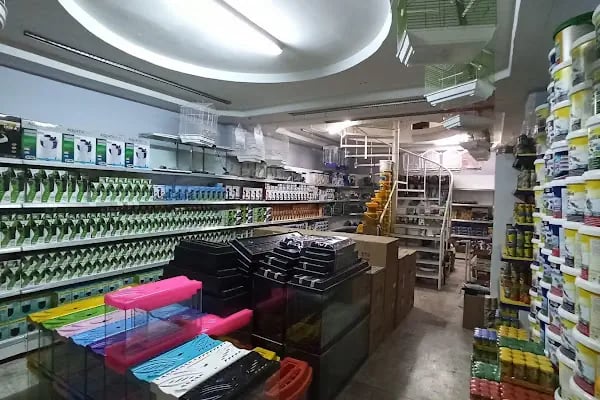 Ortadoğu Akvaryum Tropikal Balık Deposu - Resim 3