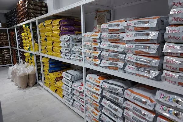 Ortadoğu Akvaryum Tropikal Balık Deposu - Resim 4