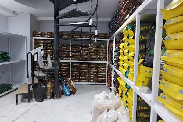 Ortadoğu Akvaryum Tropikal Balık Deposu - Resim 7