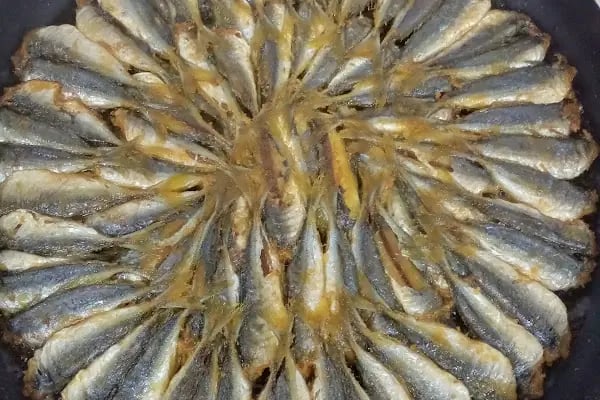 Çerkezköy Balıkçılık - Resim 2