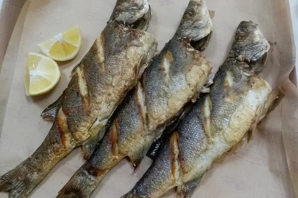 Çerkezköy Balıkçılık - Resim 3