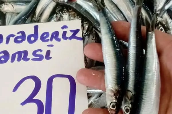 Çerkezköy Balıkçılık - Resim 10