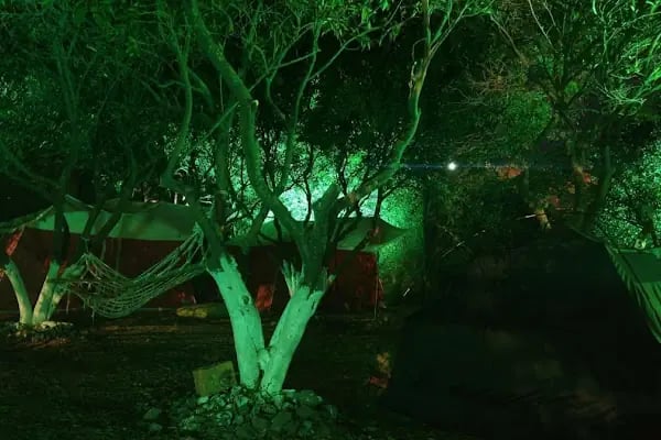 Bodrum wanderheaven Camping.Çadır,bungalov,karavan ve tinyhouse oteli - Resim 10