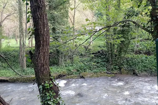 Karakaya Piknik Alanı Çay Bahçesi - Resim 8