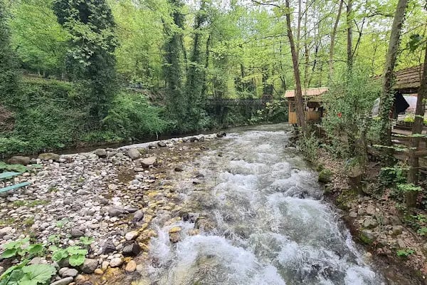 Karakaya Piknik Alanı Çay Bahçesi - Resim 2