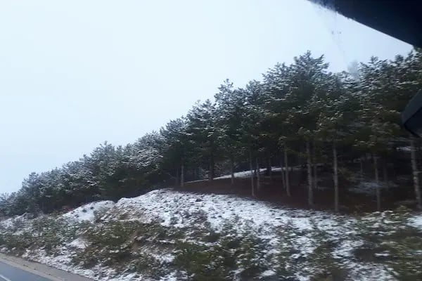 Elçeoğlu Antrepo - Resim 19