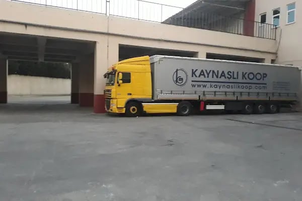 Elçeoğlu Antrepo - Resim 15