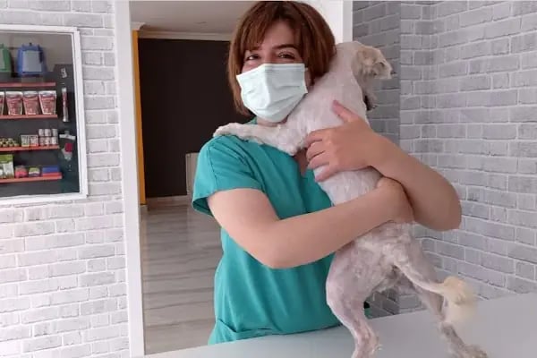 İHSAN ÖZER VETERİNER KLİNİĞİ -Kuş -Kedi -Köpek- Ankara kuş veterineri - Keçiören veteriner kliniği - Resim 19