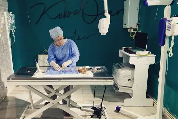 İHSAN ÖZER VETERİNER KLİNİĞİ -Kuş -Kedi -Köpek- Ankara kuş veterineri - Keçiören veteriner kliniği - Resim 2