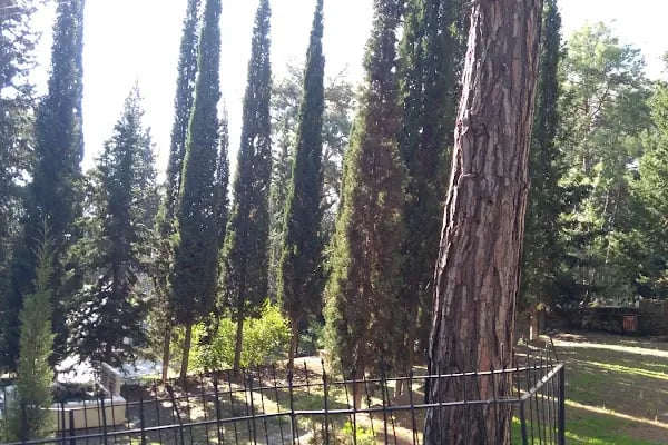 Alanya Belediyesi Bektaş Mezarlığı - Resim 2