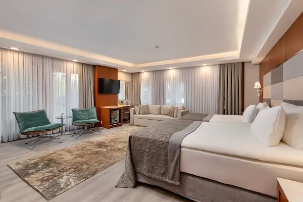 Limak Ambassadore Hotel Ankara - Resim 2