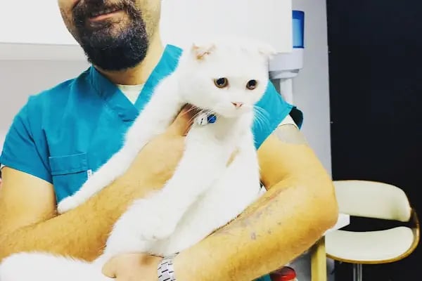 Hekim Veteriner Kliniği | Veteriner İzmir | Kuş Veterineri | Egzotik Veteriner - Resim 12