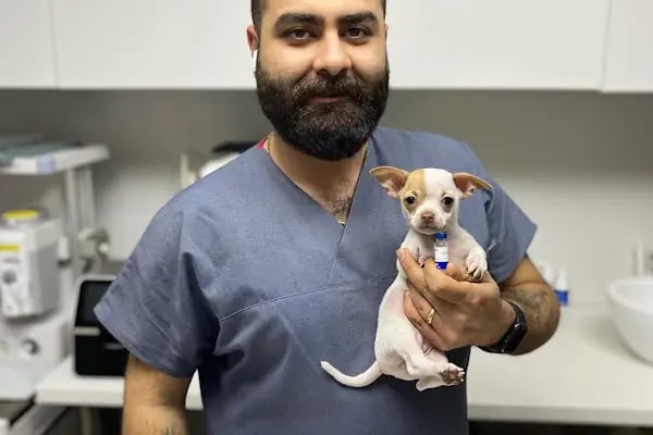 Hekim Veteriner Kliniği | Veteriner İzmir | Kuş Veterineri | Egzotik Veteriner - Resim 14