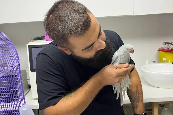 Hekim Veteriner Kliniği | Veteriner İzmir | Kuş Veterineri | Egzotik Veteriner - Resim 9