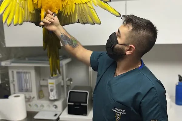 Hekim Veteriner Kliniği | Veteriner İzmir | Kuş Veterineri | Egzotik Veteriner - Resim 2