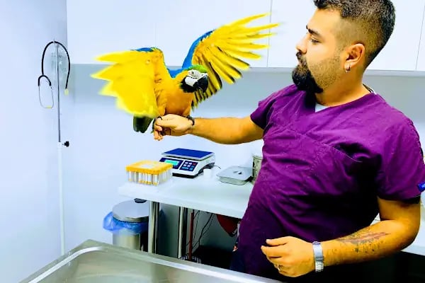 Hekim Veteriner Kliniği | Veteriner İzmir | Kuş Veterineri | Egzotik Veteriner - Resim 19