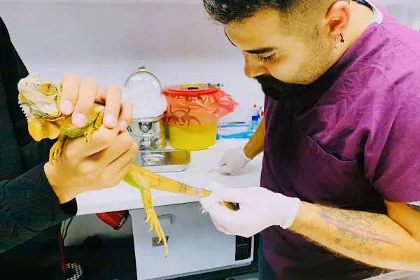 Hekim Veteriner Kliniği | Veteriner İzmir | Kuş Veterineri | Egzotik Veteriner - Resim 20