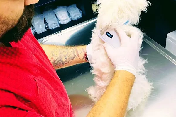 Hekim Veteriner Kliniği | Veteriner İzmir | Kuş Veterineri | Egzotik Veteriner - Resim 18