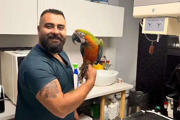 Hekim Veteriner Kliniği | Veteriner İzmir | Kuş Veterineri | Egzotik Veteriner - Resim 11