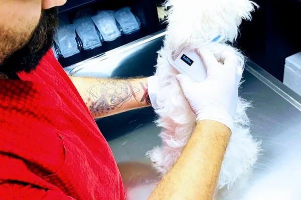 Hekim Veteriner Kliniği | Veteriner İzmir | Kuş Veterineri | Egzotik Veteriner - Resim 3