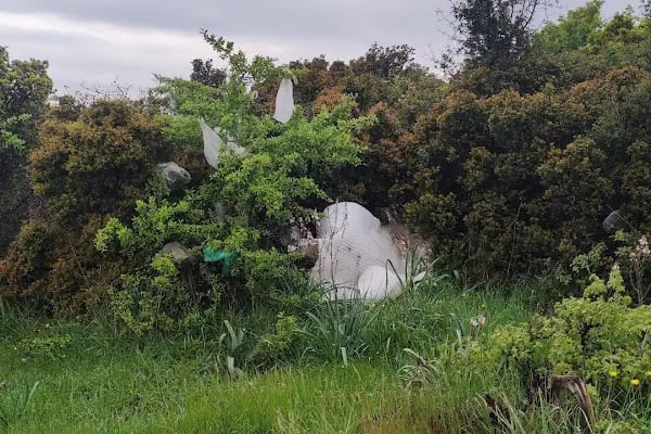 İzmir Büyükşehir Belediyesi Bergama Düzenli Katı Atık Depolama Tesisi - Resim 4
