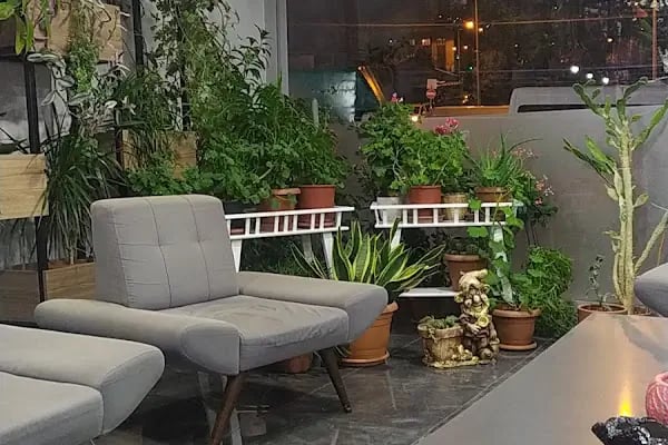 Özel MFSDENT Ağız ve Diş Sağlığı Polikliniği - Resim 10