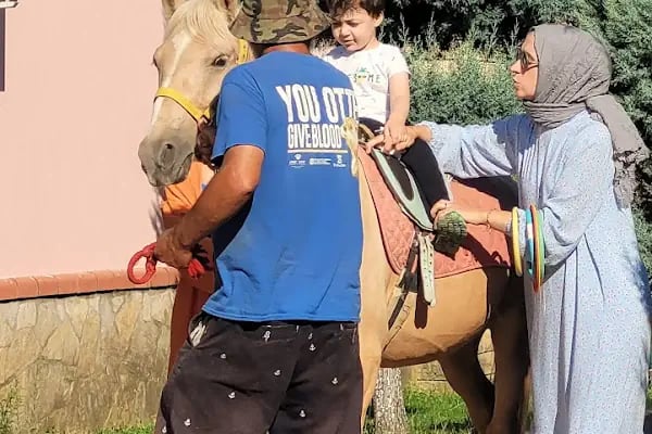 Özel Atlantis Özel Eğitim ve Rehabilitasyon Merkezi - Resim 13