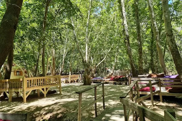 Çağlayan Park Hotel Restaurant - Resim 17