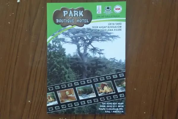 Çağlayan Park Hotel Restaurant - Resim 10