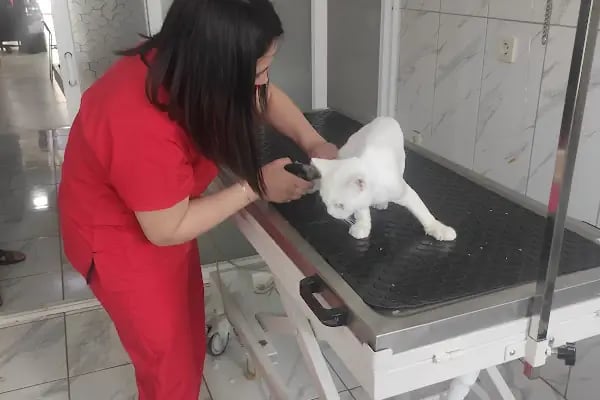 Aksu Veteriner Kliniği - Resim 9
