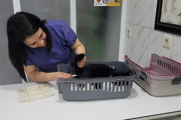 Aksu Veteriner Kliniği - Resim 18