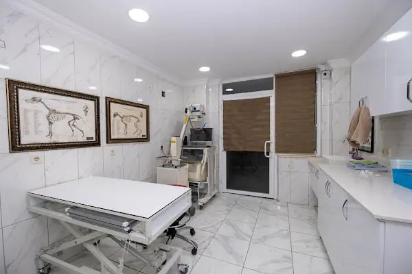 Aksu Veteriner Kliniği - Resim 4