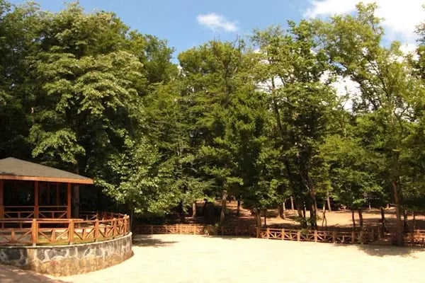 Göztepe Tabiat Parkı - Resim 17