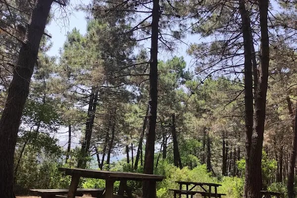 Göztepe Tabiat Parkı - Resim 6