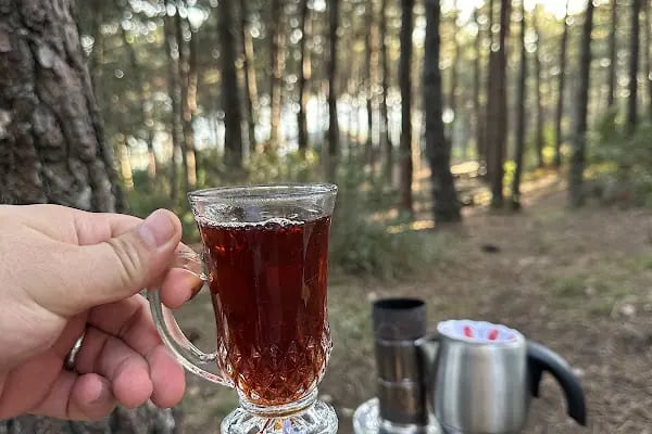 Göztepe Tabiat Parkı - Resim 14