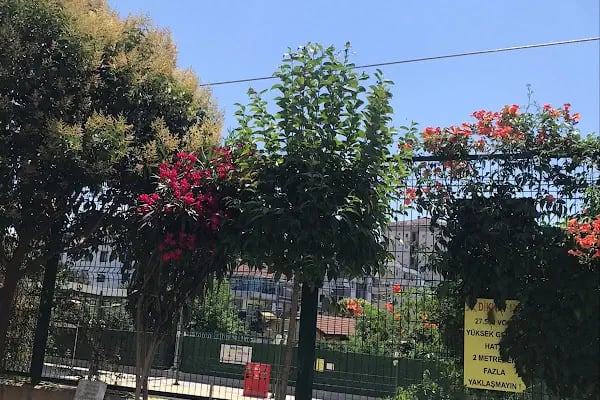 Maltepe - Resim 20