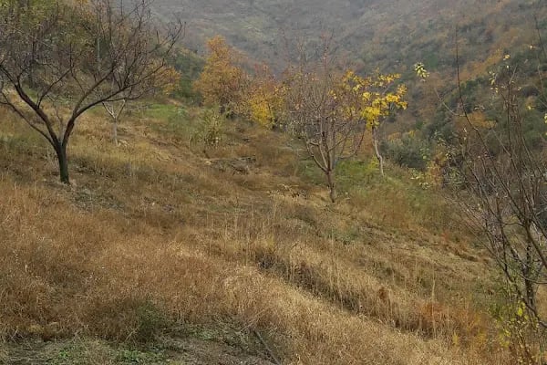 Beydağ Şelale - Resim 15