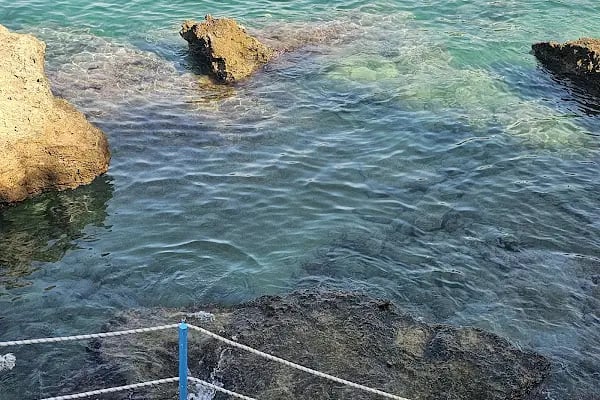 Erenkuş Plajı - Resim 15