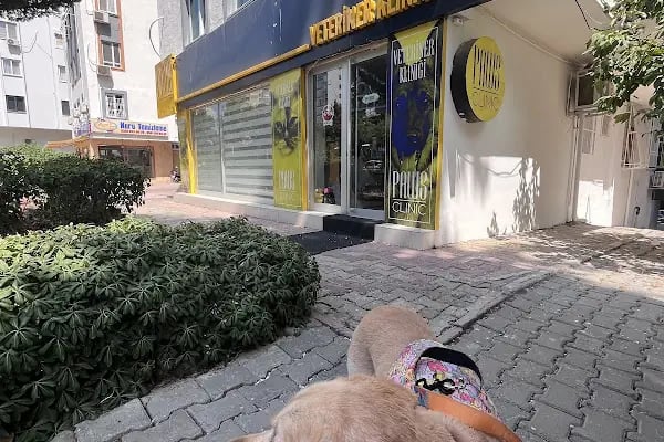 PAWS CLINIC VETERİNER KLİNİĞİ - Resim 7