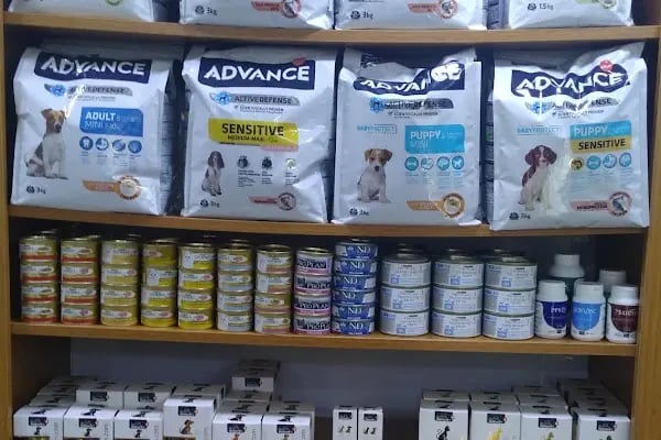 PAWS CLINIC VETERİNER KLİNİĞİ - Resim 6