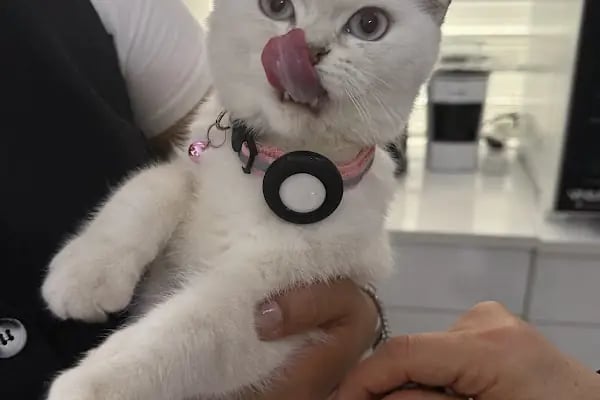 PAWS CLINIC VETERİNER KLİNİĞİ - Resim 10