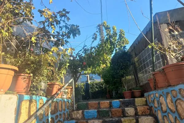 ÇİTLEMBİK GÖZLEME VE KAHVALTI EVİ - Resim 15