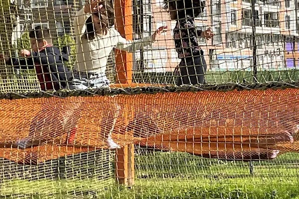 Karşıyaka Çocuk Oyun Macera Parkı - Resim 10