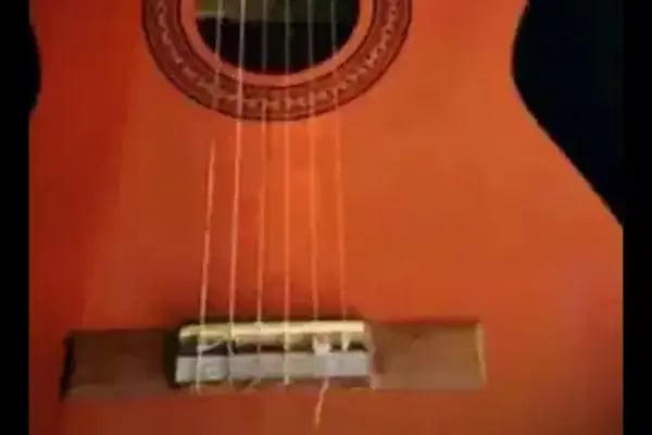 Bengi Can Saz Ve Müzik Atölyesi - Resim 10