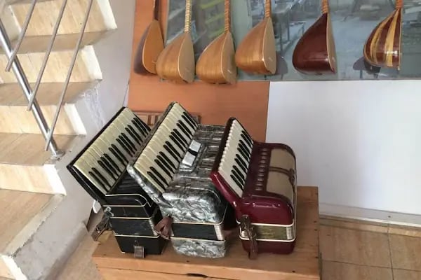 Bengi Can Saz Ve Müzik Atölyesi - Resim 5