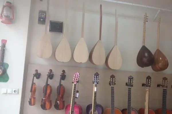 Bengi Can Saz Ve Müzik Atölyesi - Resim 18