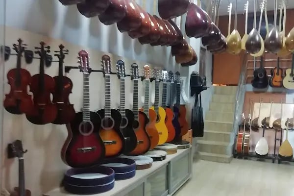 Bengi Can Saz Ve Müzik Atölyesi - Resim 3