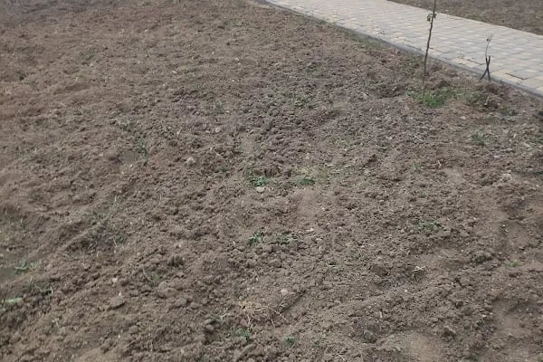 Ayaş Vadi Köy Villaları - Resim 12