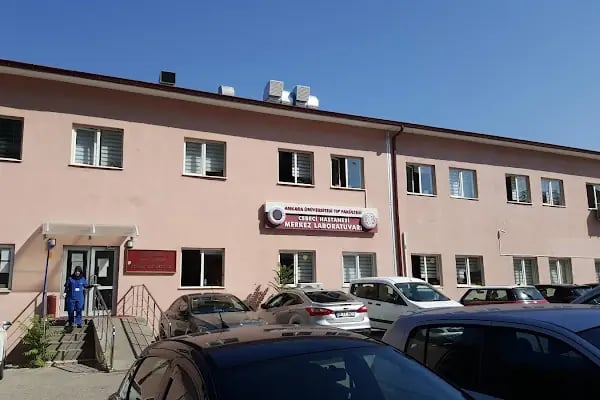 Ankara Üniversitesi Tıp Fakültesi Hematoloji Bilim Dalı - Resim 9